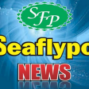 cropped-sfp-logo-1.png